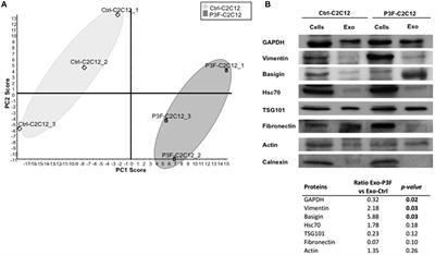 Effects of the Oncoprotein PAX3-FOXO1 on Modulation of Exosomes Function and Protein Content: Implications on Oxidative Stress Protection and Enhanced Plasticity